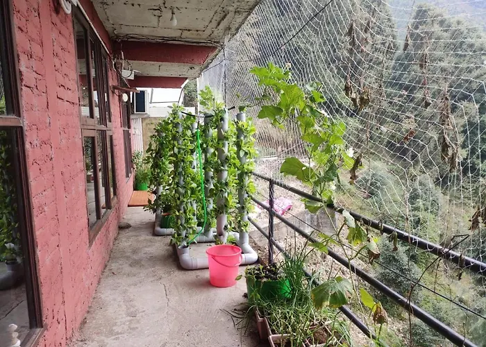 Chinmay Hostel McLeod Ganj