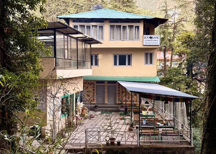 Eevolve Dharamkot - An Eco Hostel McLeod Ganj