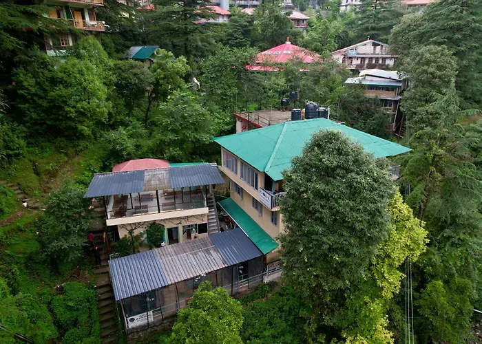 Eevolve Dharamkot - An Eco Hostel McLeod Ganj